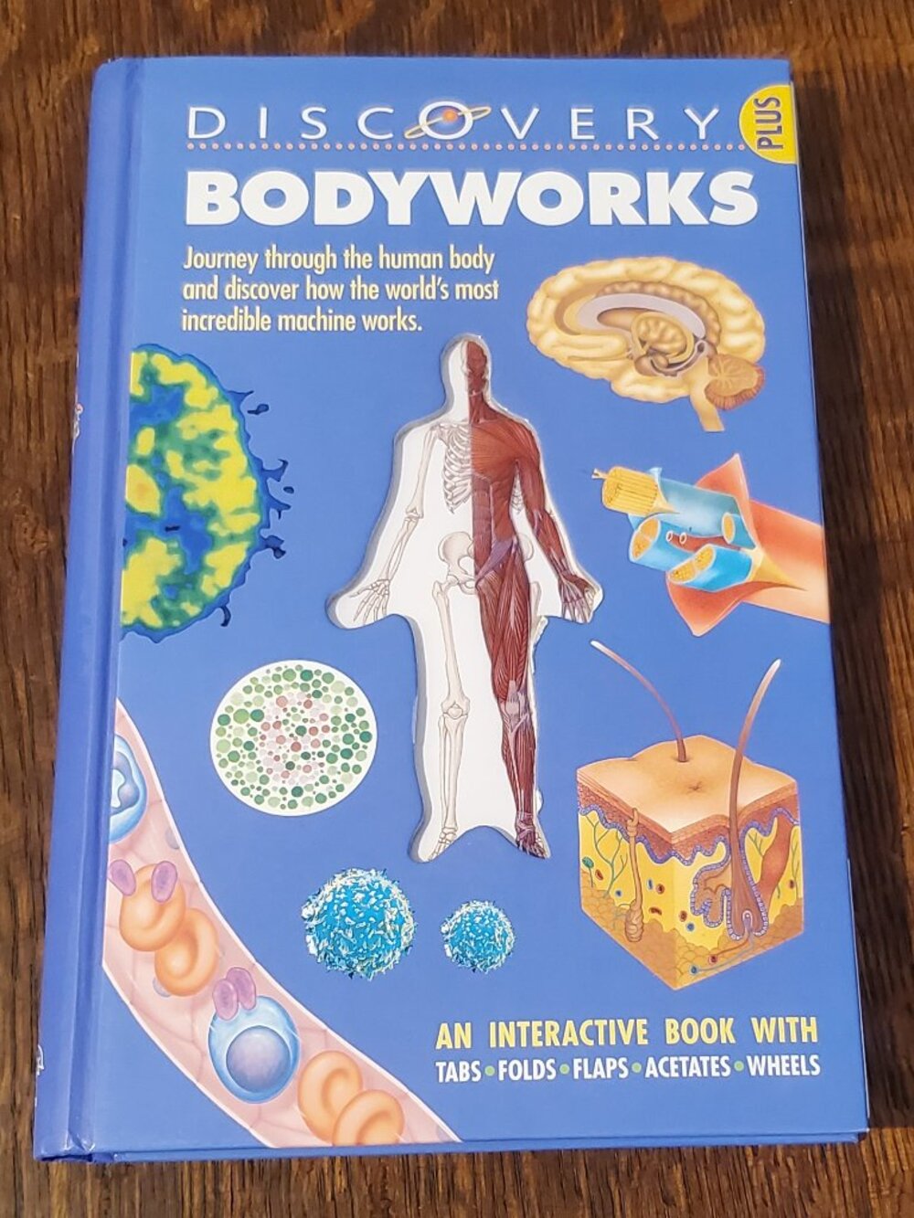 Discovery Bodyworks an Interactive Book for Children about the Human Body